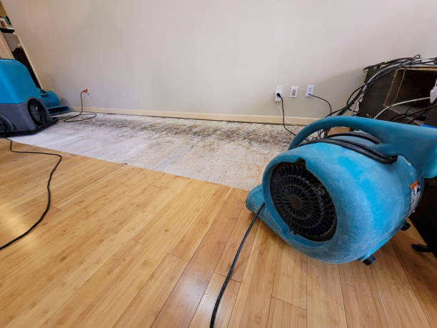 Professional Structural Drying technician working in Rochester, NH